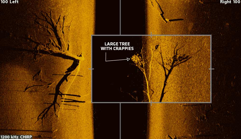 Side and Down Imaging Tips for Dirty Water - Humminbird