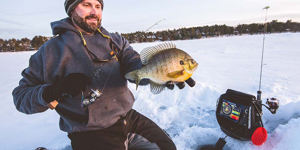 How To ID Fish On A Flasher, Ice Fishing