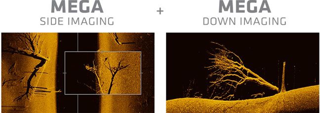 MEGA Side Imaging Vs MEGA Down Imaging 