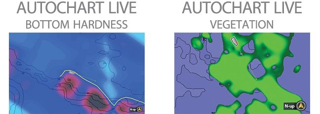 AutoChart Live - Color Coding