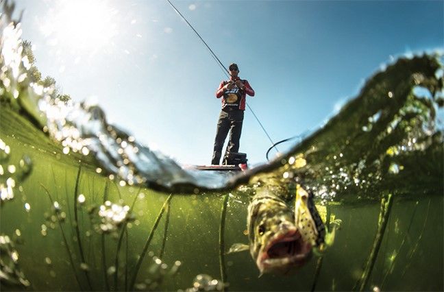 From the water shot of KVD fishing bass