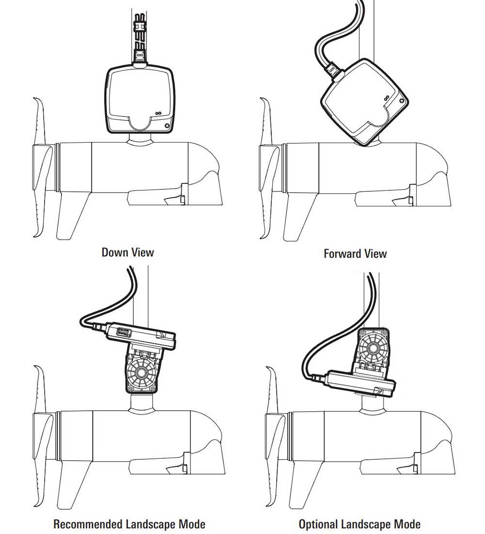 mega live imaging views mode illustration