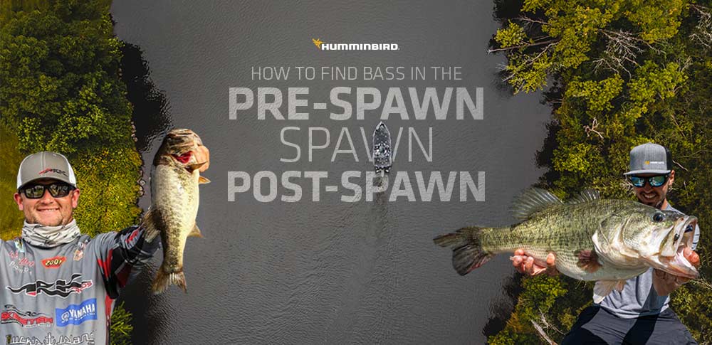 How to Find Bass During the Pre Spawn, Spawn and Post Spawn - Humminbird
