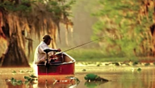 Endura Composite Shaft