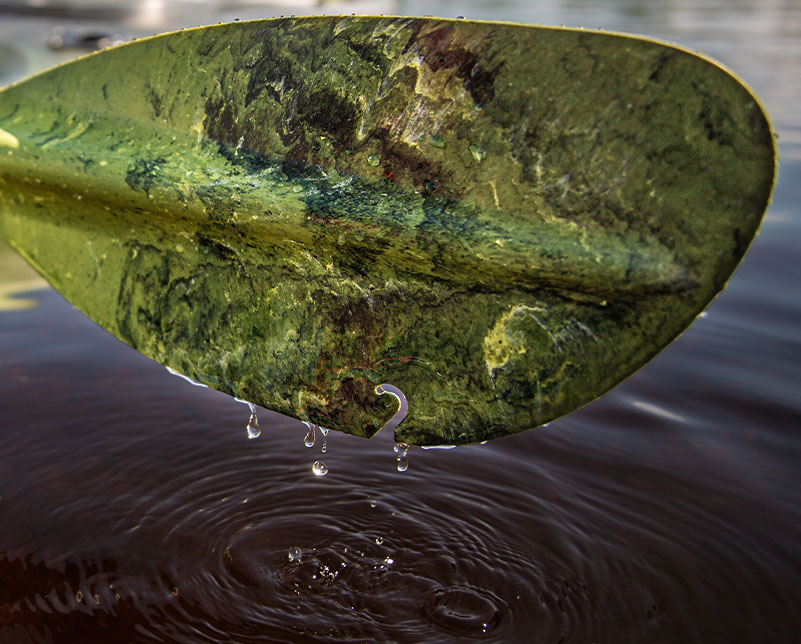 Closeup of Carlisle Magic Angler Paddle Blade Feature