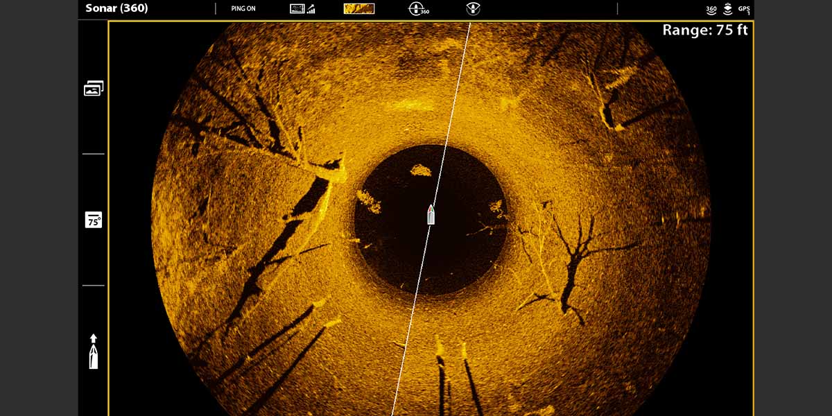 mega 360 imaging showing laydown logs underwater