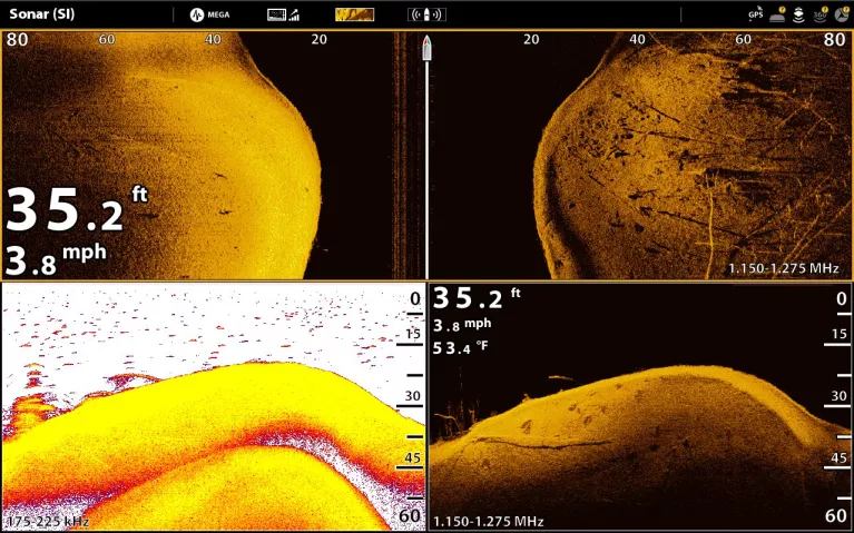 Split Screen Views of Side and Down Imaging
