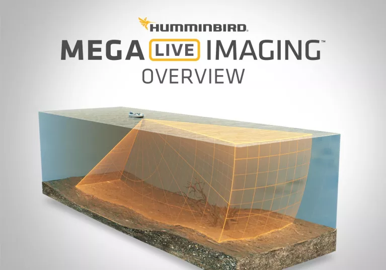 MEGA Live Sonar Imaging Technology - Humminbird